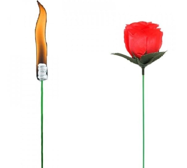 Čarodejnícky trik s ruží