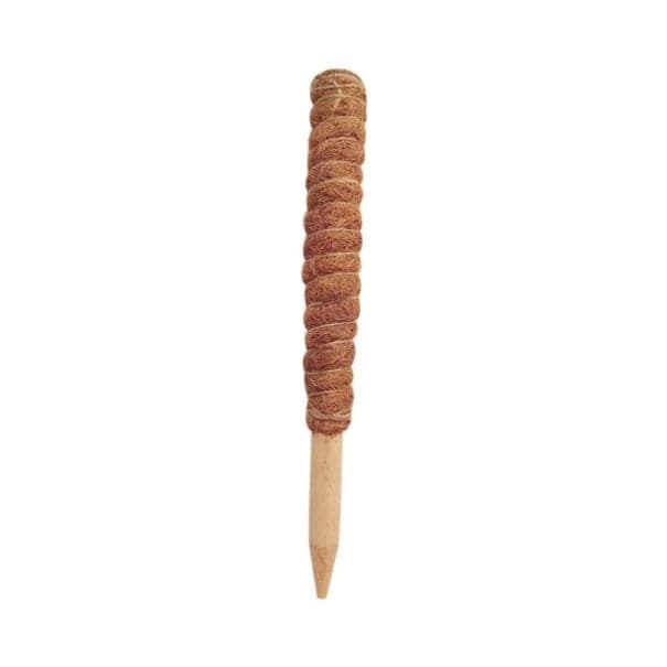 Oporná kokosová tyč pre rastliny 30 cm