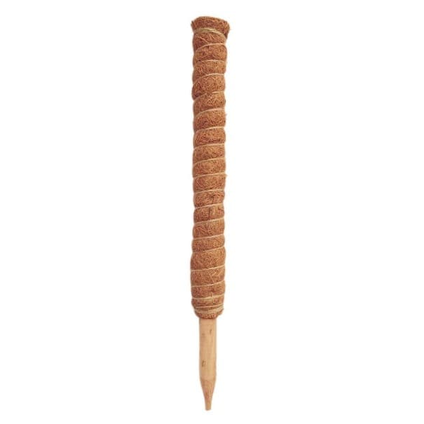 Oporná kokosová tyč pre rastliny 50 cm