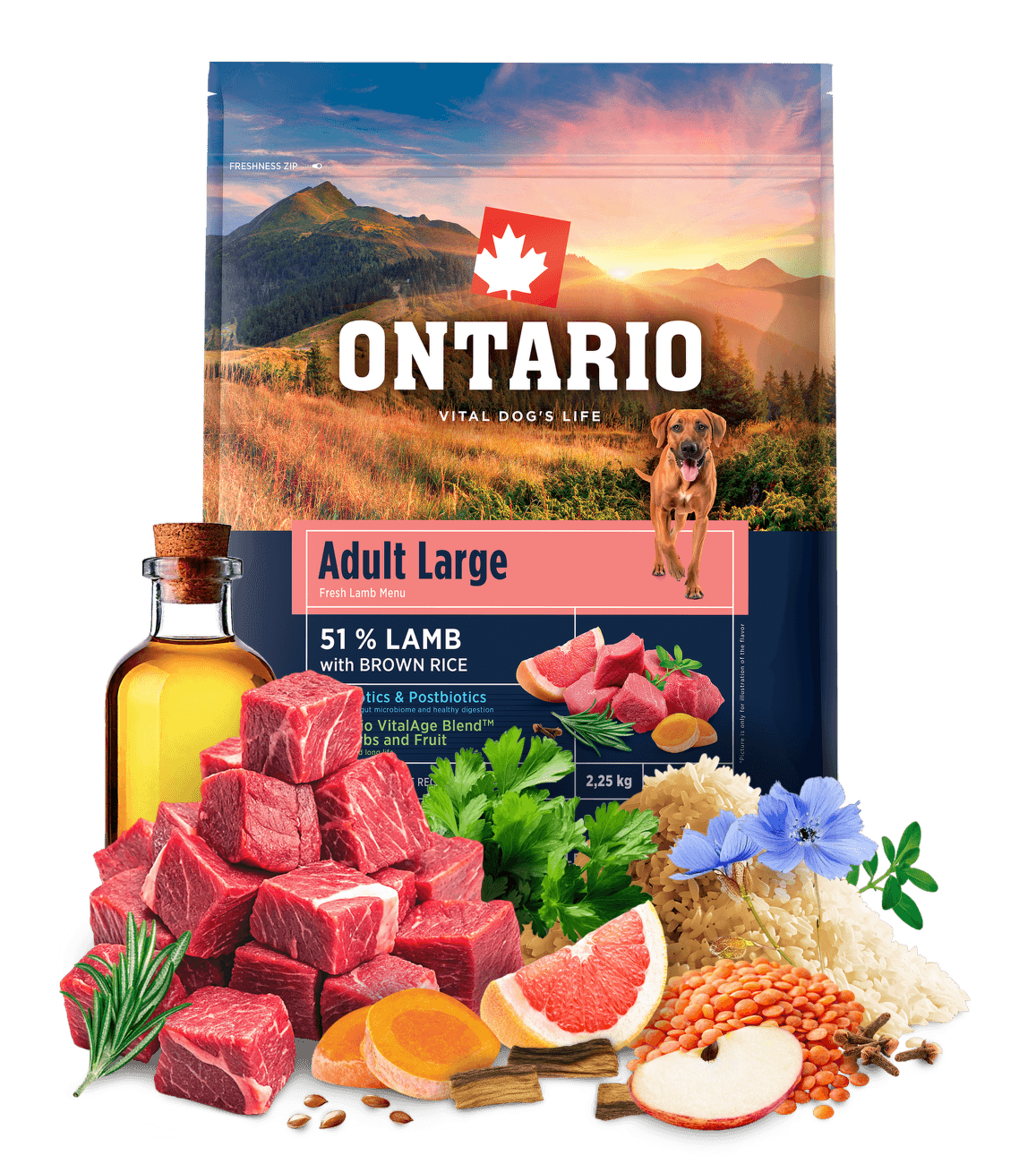 Ontario Adult Large Lamb & Brown Rice 2,25kg