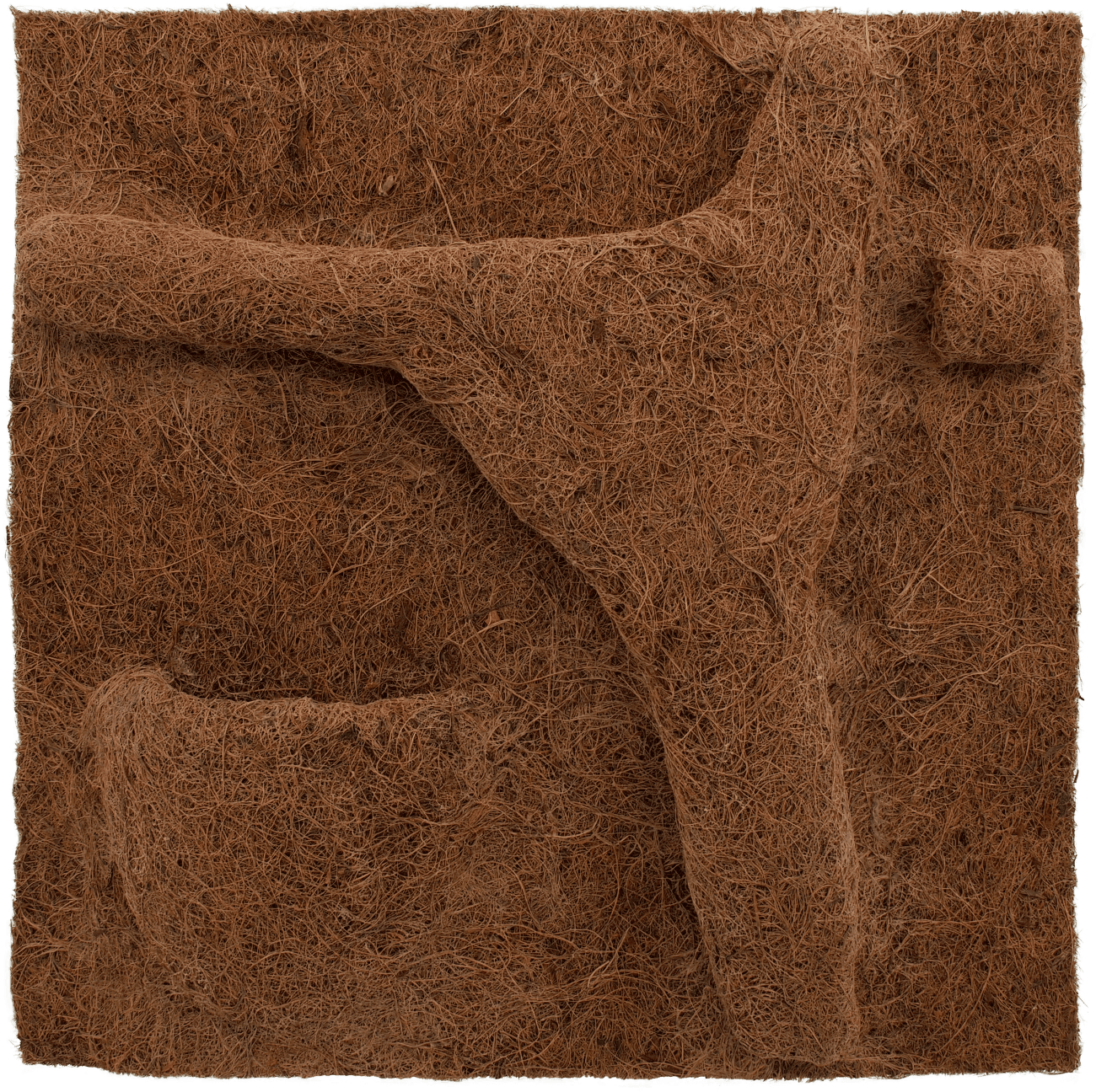 Repti Planet pozadie Coco planter 50 x 50 cm