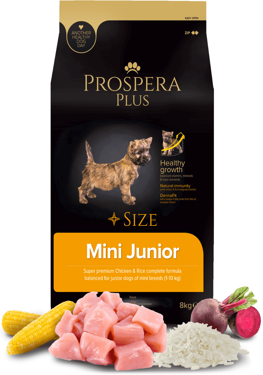 Prospera Plus granuly Mini Junior 8 kg