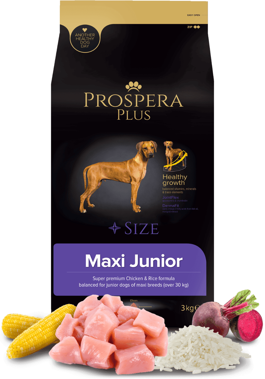 Prospera Plus granuly Maxi Junior 3 kg