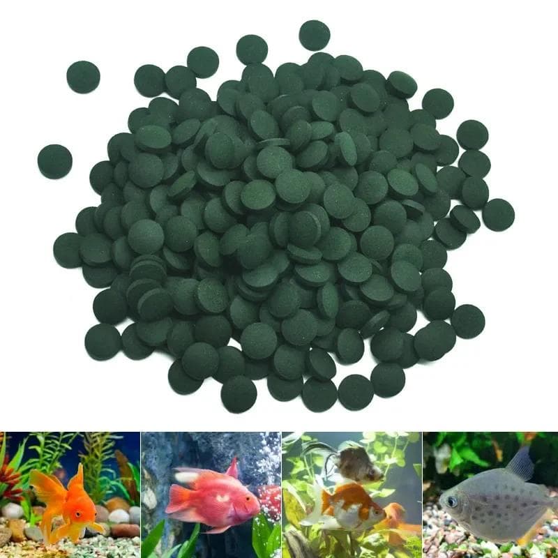 100/500pcs Spirulina Tablets Enrichment Favorite Pet Food fish crystal red shrimp pet food zelená