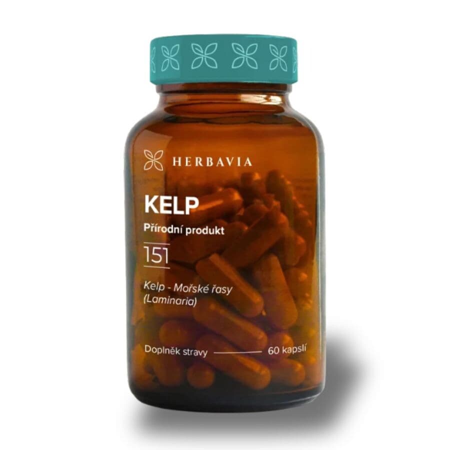 Kelp