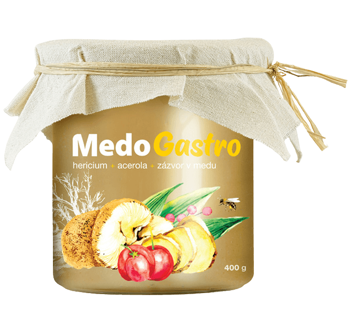 MYCOMEDICA MedoGastro 400 g