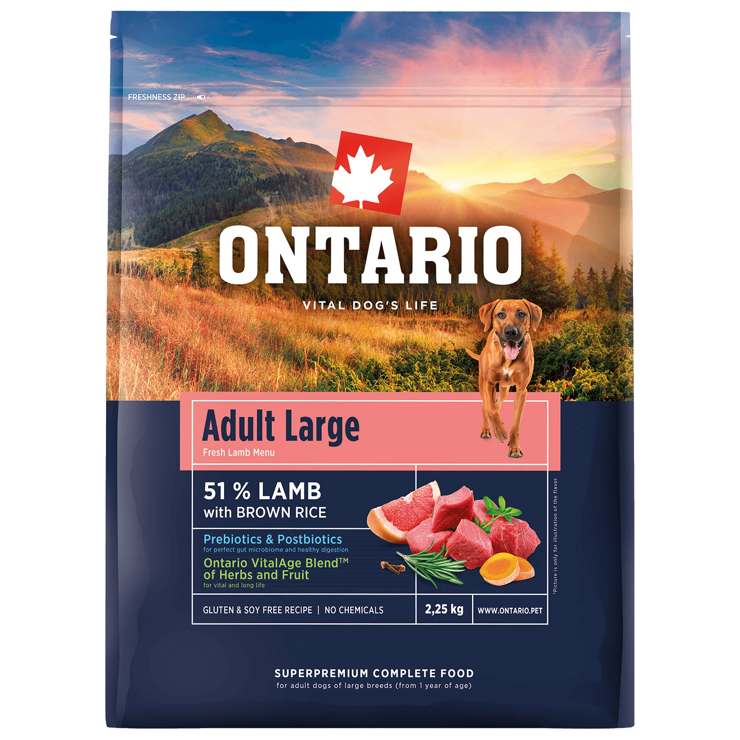 ONTARIO Krmivo Adult Large Lamb & Brown Rice 2.25 kg